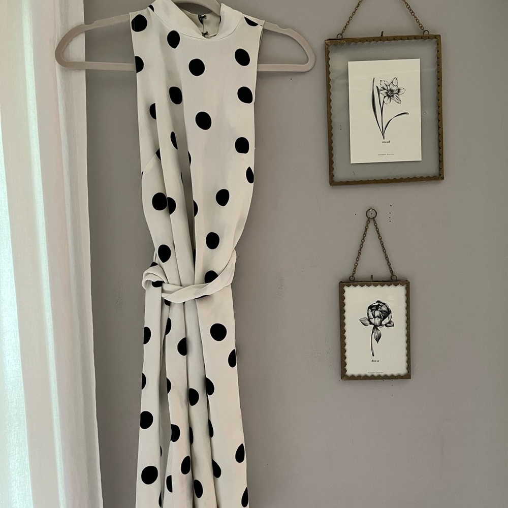 Ann Taylor Polka Dot Dress